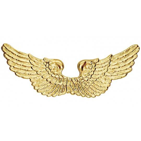 Golden angel wings