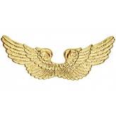 Golden angel wings